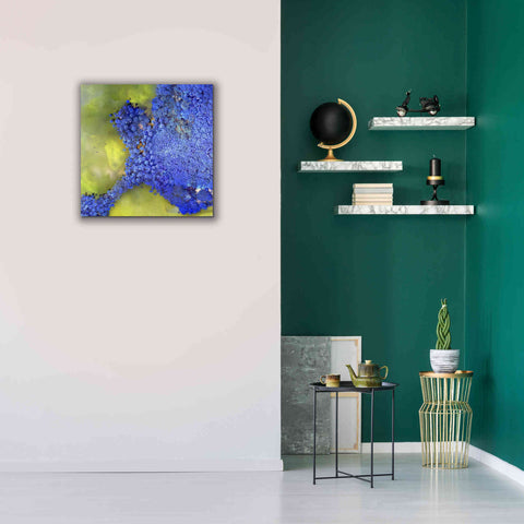 Image of 'Earth as Art: Palmyra,' Canvas Wall Art,26 x 26