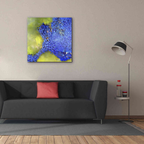 Image of 'Earth as Art: Palmyra,' Canvas Wall Art,37 x 37