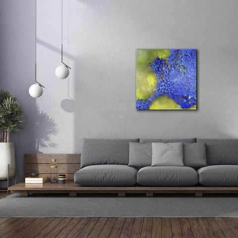 Image of 'Earth as Art: Palmyra,' Canvas Wall Art,37 x 37