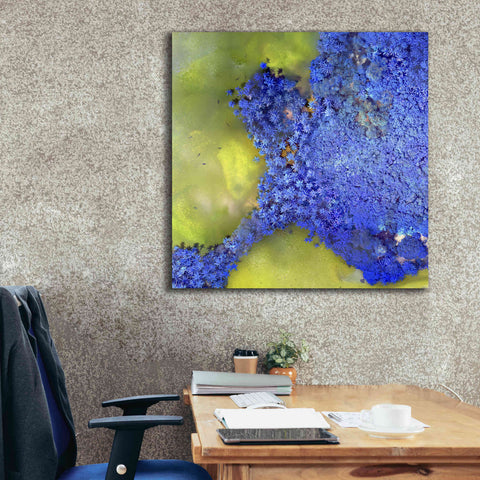 Image of 'Earth as Art: Palmyra,' Canvas Wall Art,37 x 37