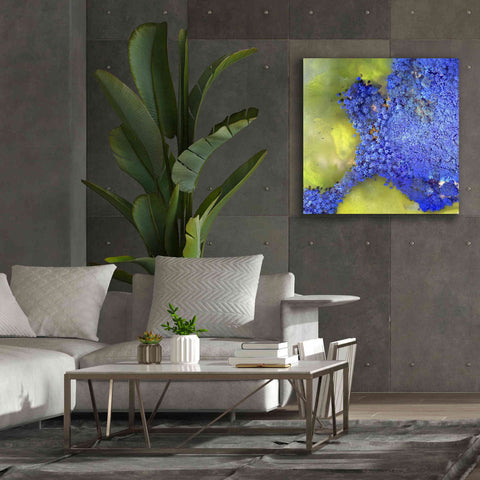 Image of 'Earth as Art: Palmyra,' Canvas Wall Art,37 x 37