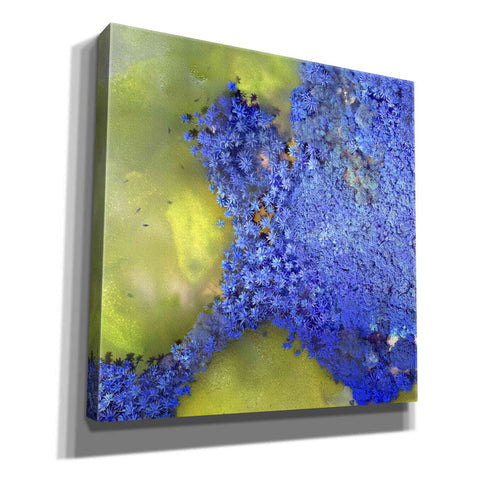 Image of 'Earth as Art: Palmyra,' Canvas Wall Art,12x12x1.1x0,18x18x1.1x0,26x26x1.74x0,37x37x1.74x0