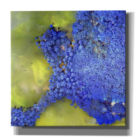 Image of 'Earth as Art: Palmyra,' Canvas Wall Art,12x12x1.1x0,18x18x1.1x0,26x26x1.74x0,37x37x1.74x0