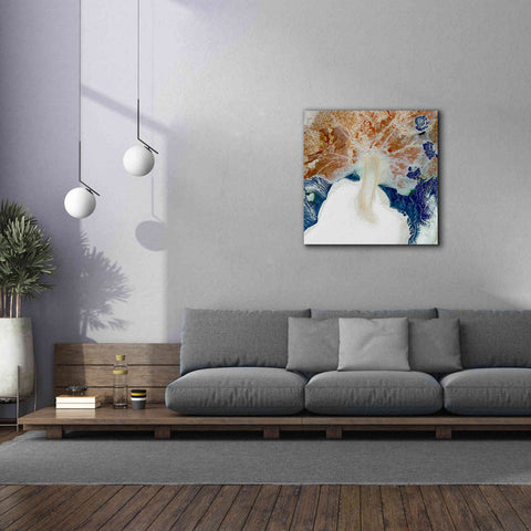 Image of 'Earth as Art: Rapid Ice Movement,' Canvas Wall Art,37 x 37
