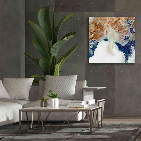 Image of 'Earth as Art: Rapid Ice Movement,' Canvas Wall Art,37 x 37