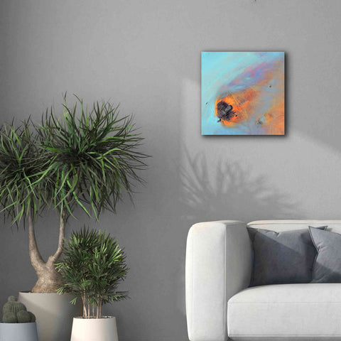Image of 'Earth as Art: Re-Entry,' Canvas Wall Art,18 x 18