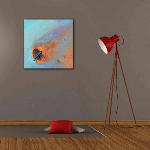 Image of 'Earth as Art: Re-Entry,' Canvas Wall Art,26 x 26
