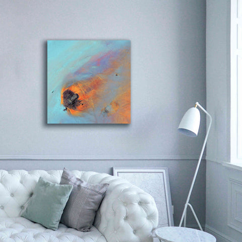 Image of 'Earth as Art: Re-Entry,' Canvas Wall Art,37 x 37