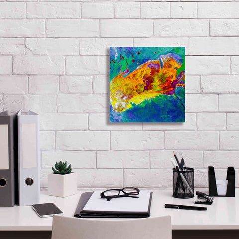 Image of 'Earth as Art: Salty Desolation,' Canvas Wall Art,12 x 12