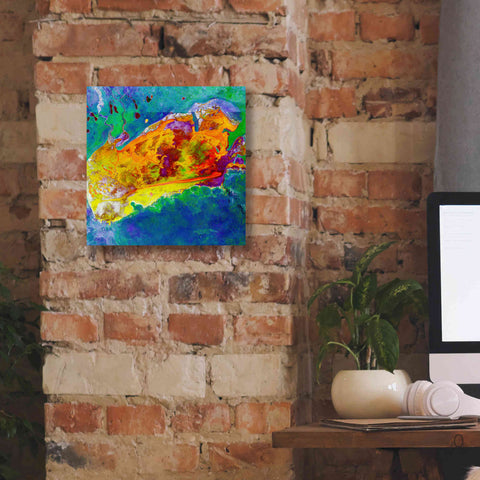 Image of 'Earth as Art: Salty Desolation,' Canvas Wall Art,12 x 12