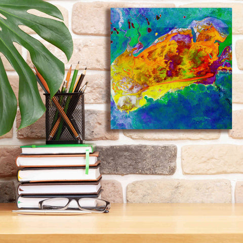 Image of 'Earth as Art: Salty Desolation,' Canvas Wall Art,12 x 12