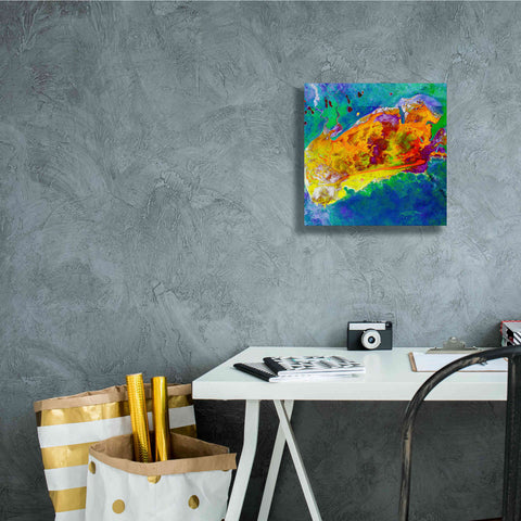 Image of 'Earth as Art: Salty Desolation,' Canvas Wall Art,12 x 12