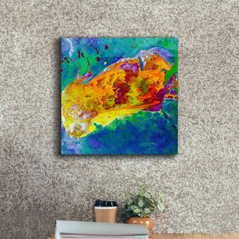Image of 'Earth as Art: Salty Desolation,' Canvas Wall Art,18 x 18