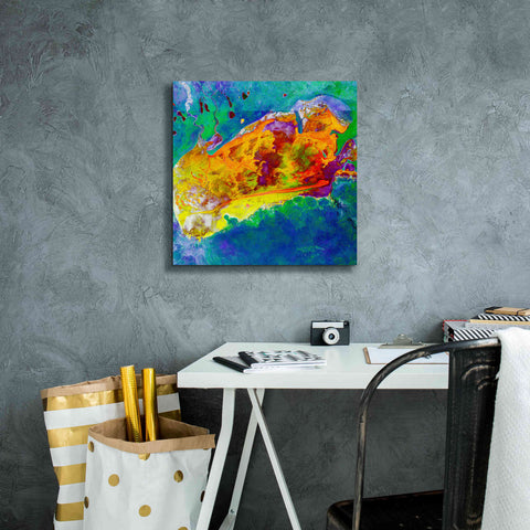 Image of 'Earth as Art: Salty Desolation,' Canvas Wall Art,18 x 18