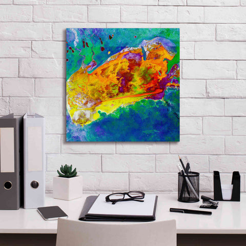 Image of 'Earth as Art: Salty Desolation,' Canvas Wall Art,18 x 18