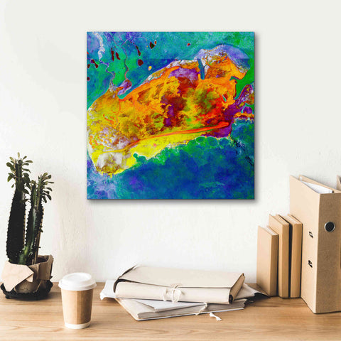 Image of 'Earth as Art: Salty Desolation,' Canvas Wall Art,18 x 18