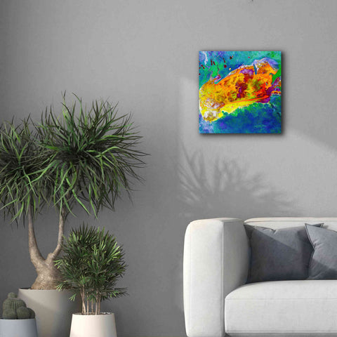 Image of 'Earth as Art: Salty Desolation,' Canvas Wall Art,18 x 18