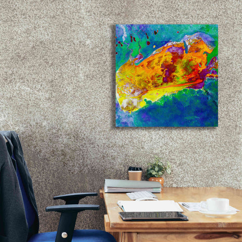 Image of 'Earth as Art: Salty Desolation,' Canvas Wall Art,26 x 26