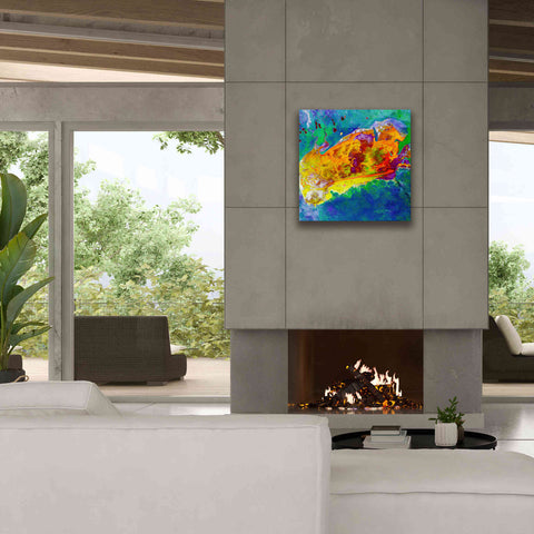 Image of 'Earth as Art: Salty Desolation,' Canvas Wall Art,26 x 26