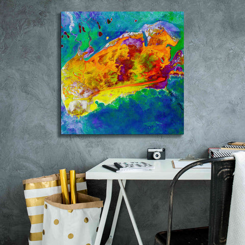 Image of 'Earth as Art: Salty Desolation,' Canvas Wall Art,26 x 26