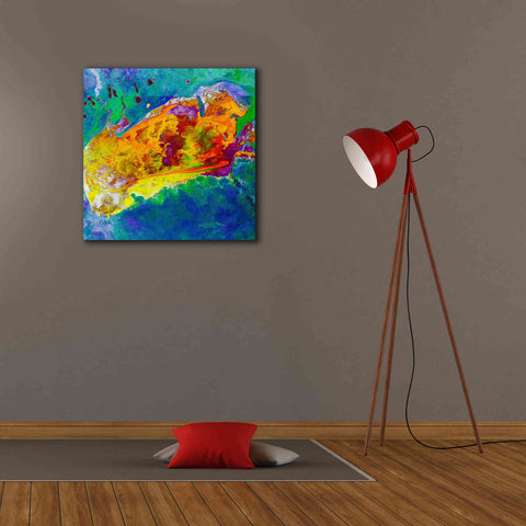 Image of 'Earth as Art: Salty Desolation,' Canvas Wall Art,26 x 26