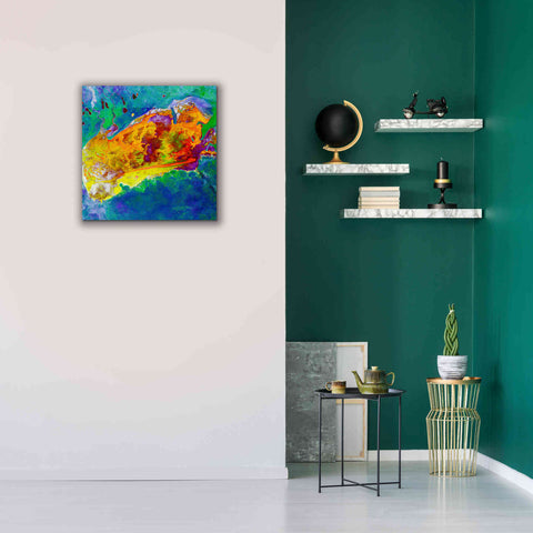 Image of 'Earth as Art: Salty Desolation,' Canvas Wall Art,26 x 26