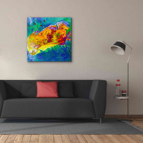 Image of 'Earth as Art: Salty Desolation,' Canvas Wall Art,37 x 37