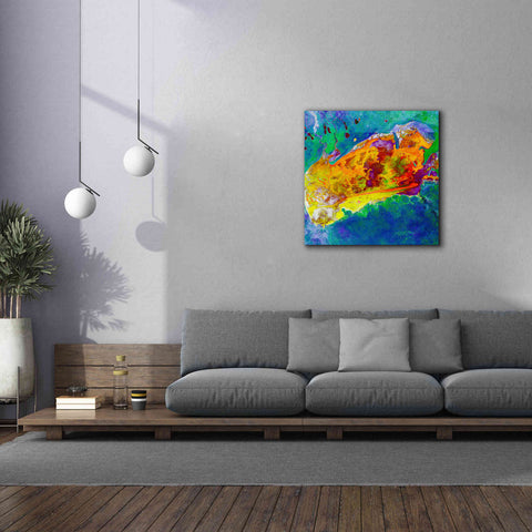 Image of 'Earth as Art: Salty Desolation,' Canvas Wall Art,37 x 37
