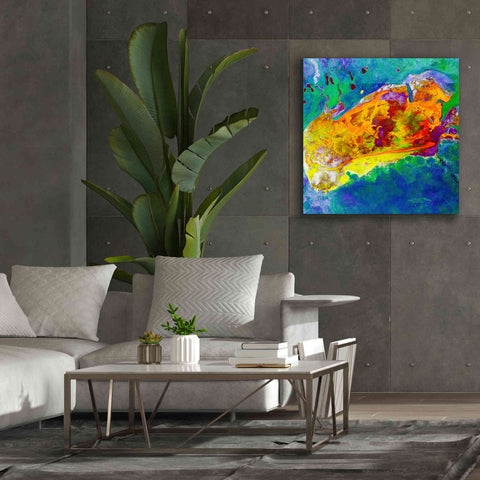 Image of 'Earth as Art: Salty Desolation,' Canvas Wall Art,37 x 37