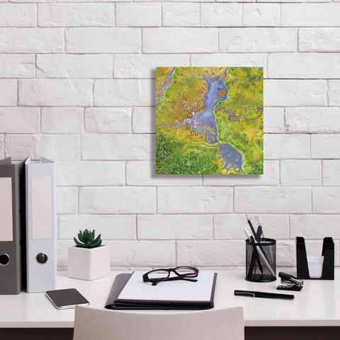 Image of 'Earth as Art: Watching Wetlands,' Canvas Wall Art,12 x 12