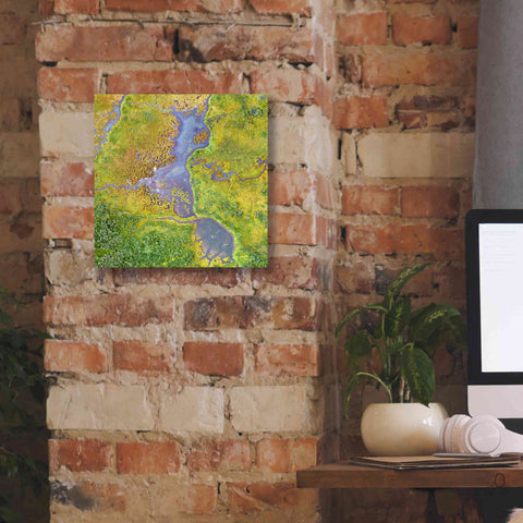 Image of 'Earth as Art: Watching Wetlands,' Canvas Wall Art,12 x 12