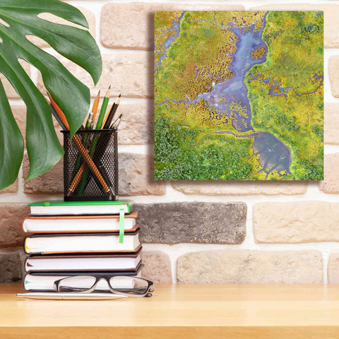 Image of 'Earth as Art: Watching Wetlands,' Canvas Wall Art,12 x 12