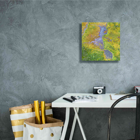 Image of 'Earth as Art: Watching Wetlands,' Canvas Wall Art,12 x 12