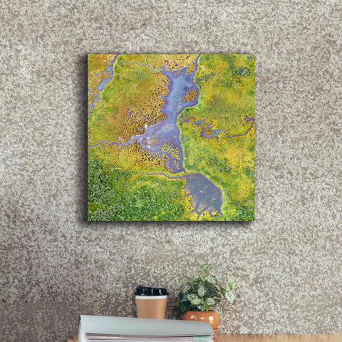 Image of 'Earth as Art: Watching Wetlands,' Canvas Wall Art,18 x 18