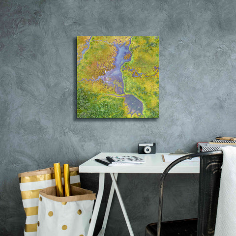 Image of 'Earth as Art: Watching Wetlands,' Canvas Wall Art,18 x 18