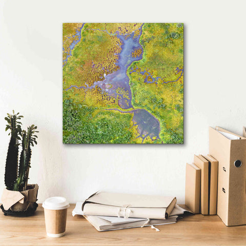 Image of 'Earth as Art: Watching Wetlands,' Canvas Wall Art,18 x 18