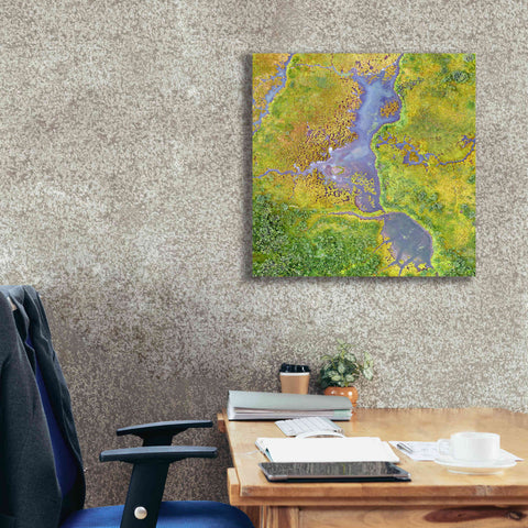 Image of 'Earth as Art: Watching Wetlands,' Canvas Wall Art,26 x 26