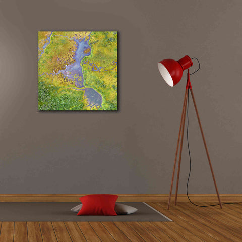 Image of 'Earth as Art: Watching Wetlands,' Canvas Wall Art,26 x 26
