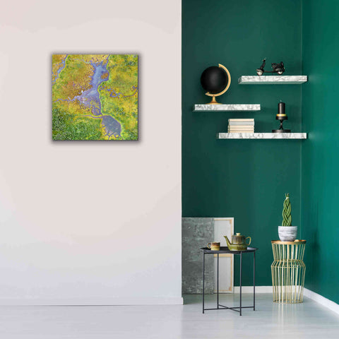 Image of 'Earth as Art: Watching Wetlands,' Canvas Wall Art,26 x 26