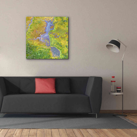 Image of 'Earth as Art: Watching Wetlands,' Canvas Wall Art,37 x 37