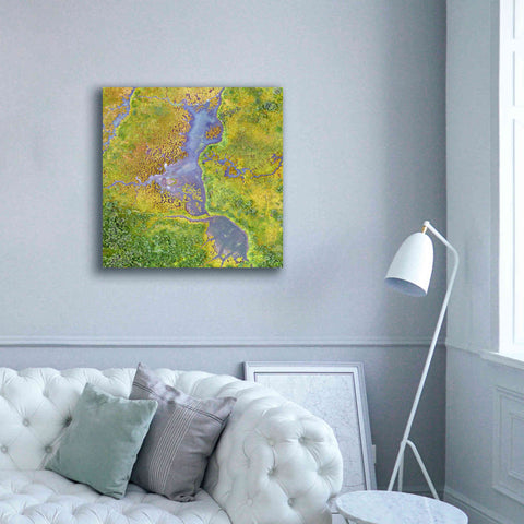 Image of 'Earth as Art: Watching Wetlands,' Canvas Wall Art,37 x 37