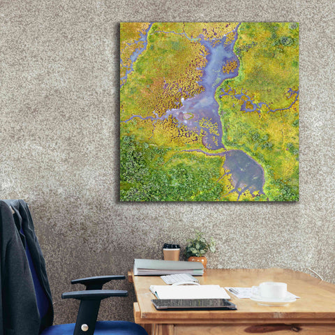 Image of 'Earth as Art: Watching Wetlands,' Canvas Wall Art,37 x 37