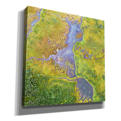 Image of 'Earth as Art: Watching Wetlands,' Canvas Wall Art,12x12x1.1x0,18x18x1.1x0,26x26x1.74x0,37x37x1.74x0