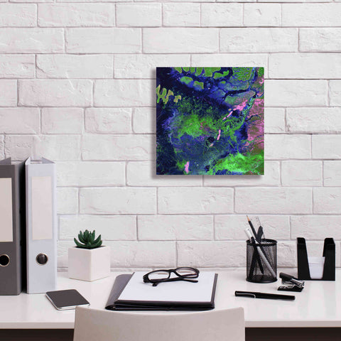 Image of 'Earth as Art: Wondrous Wetlands,' Canvas Wall Art,12 x 12