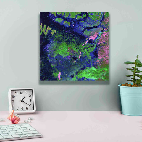 Image of 'Earth as Art: Wondrous Wetlands,' Canvas Wall Art,12 x 12