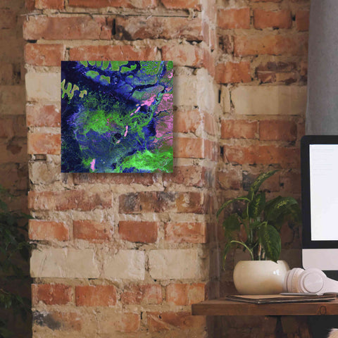 Image of 'Earth as Art: Wondrous Wetlands,' Canvas Wall Art,12 x 12