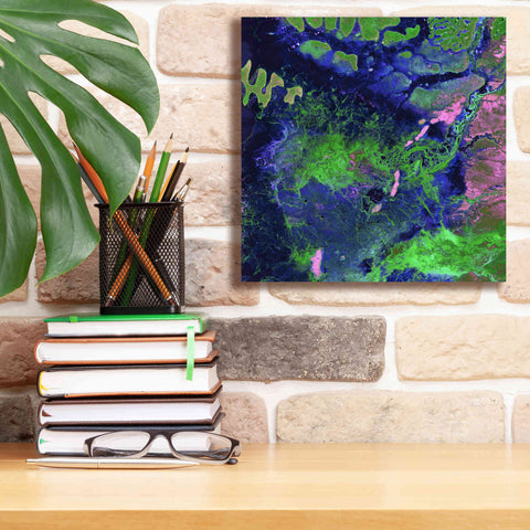 Image of 'Earth as Art: Wondrous Wetlands,' Canvas Wall Art,12 x 12