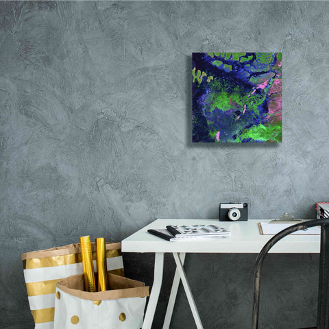 Image of 'Earth as Art: Wondrous Wetlands,' Canvas Wall Art,12 x 12