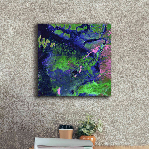 Image of 'Earth as Art: Wondrous Wetlands,' Canvas Wall Art,18 x 18