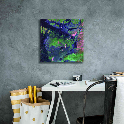 Image of 'Earth as Art: Wondrous Wetlands,' Canvas Wall Art,18 x 18